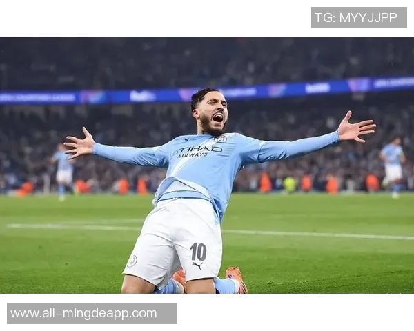 谢尔基本赛季出战17场贡献11球成为今夏英超新援进球参与王