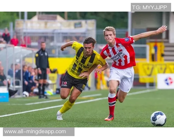 埃因霍温主帅博斯渴望执教荷兰队非洲杯或成万纳尔新机遇